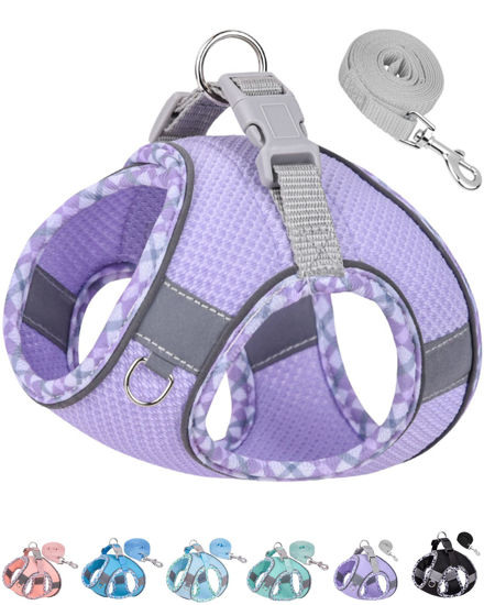Picture of Petank Dog Harness for Small Medium Dogs No Pull, Puppy Harness and Leash Set, Easy Walk Dog Harness for Walking, Running, Training, Small Dog Harness, Medium Dog Harness (Purple, S)