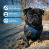 Picture of Voyager Step-in Air Dog Harness - All Weather Mesh Step in Vest Harness for Small and Medium Dogs and Cats by Best Pet Supplies - Harness (Blue), S (Chest: 14.5-16")