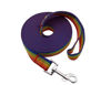 Picture of Nylon Training Dog Leash for Small Medium Large Dogs, 15ft 20ft 30ft 50ft Long Leash Dog/Puppy Lead for Obedience Recall Training, Camping (1" x 20ft, Rainbow)