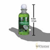 Picture of inSPAration Spa and Bath Aromatherapy 371X Spa Liquid, 9-Ounce, Coconut Lime Verbena