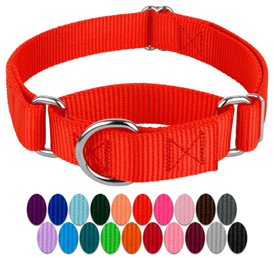 Picture of Country Brook Petz - Hot Orange Martingale Heavy Duty Nylon Dog Collar - 21 Vibrant Color Options (1 Inch Width, Extra Large)