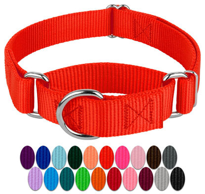 Picture of Country Brook Design - Hot Orange Martingale Heavy Duty Nylon Dog Collar - 21 Vibrant Color Options (1 Inch Width, Medium)