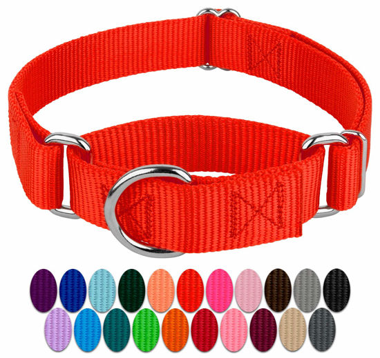 Picture of Country Brook Petz - Hot Orange Martingale Heavy Duty Nylon Dog Collar - 21 Vibrant Color Options (3/8 Inch Width, Micro)