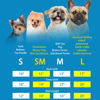 Picture of Mihachi Turtleneck Dog Sweater - Winter Coat Apparel Classic Cable Knit Clothes with Leash Hole for Cold Weather, Ideal Gift for Pet in New Year