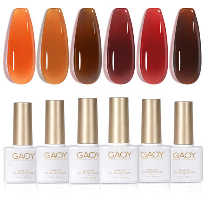 Picture of GAOY Jelly Brown Gel Nail Polish Set, 6 Transparent Colors Dark Red Orange Pumpkin Soak Off Gel Polish Kit for Salon and Nail Art DIY at Home