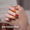 Picture of GAOY Jelly Brown Gel Nail Polish Set, 6 Transparent Colors Dark Red Orange Pumpkin Soak Off Gel Polish Kit for Salon and Nail Art DIY at Home