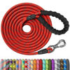 Picture of NTR Heavy Duty Dog Leash, 15FT Training Leash with Swivel Lockable Hook, Padded Handle and Highly Reflective Threads, Dog Lead for Walking, Hunting, Camping, Backyard for Small Medium Large Dog Red