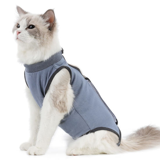 Picture of kzrfojy Cat Surgery Recovery Suit Cat Onesie for Cats After Surgery Spay Surgical Abdominal Wound Skin Diseases E-Collar Alternative Wear (Grey-Blue-L)