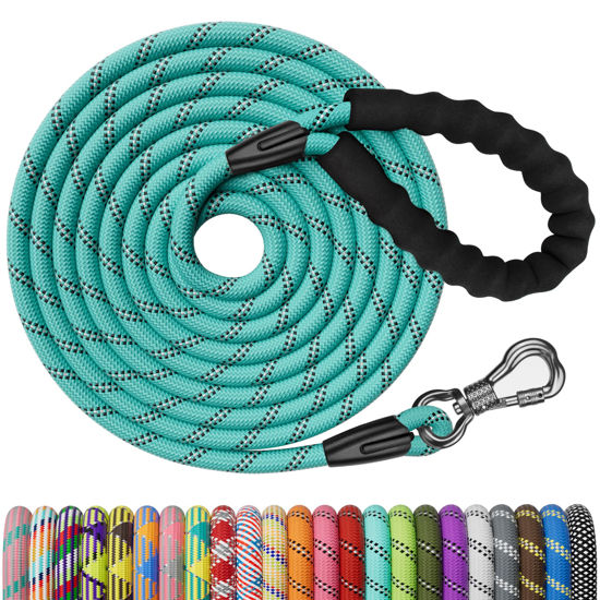 Picture of NTR 15FT Training Leash for Dog,Reflective Nylon Rope Leash with Swivel Lockable Hook and Comfortable Handle,Puppy Leash Lead for Small Medium Large Dogs Training,Playing,Camping,or Backyard, Teal