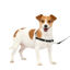 Picture of PetSafe Easy Walk No-Pull Dog Harness - The Ultimate Harness to Help Stop Pulling - Take Control & Teach Better Leash Manners - Helps Prevent Pets Pulling on Walks, Small, Black/Silver