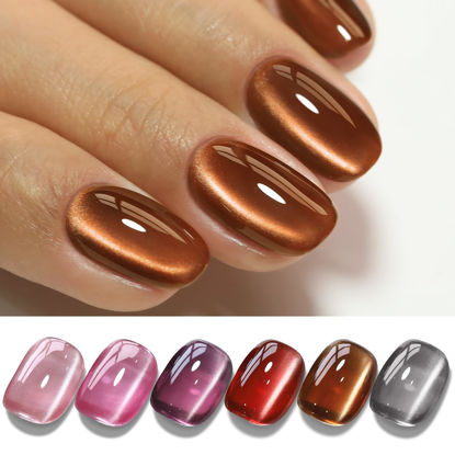 Picture of Double Rhythm Cat Eye Gel Nail Polish Set of 6 Colors Shimmer Glitter with Magnet 9D Holographic Reflective Magnetic UV Nail Polish Kit (Glass Nude Pink Purple Red Brown Black-Kit 40)