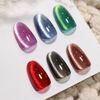 Picture of Double Rhythm Cat Eye Gel Nail Polish Set of 6 Colors Shimmer Glitter with Magnet 9D Holographic Reflective Magnetic Nail Polish (Red Black Brown Purple Blue Green-Kit 26)