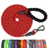 Picture of NTR Heavy Duty Large Dog Leash, 30FT Reflective Dog Leash with Swivel Lockable Hook and Comfortable Padded Handle, Puppy Leash for Walking, Hunting, Camping, Backyard for Small Medium and Large Dogs