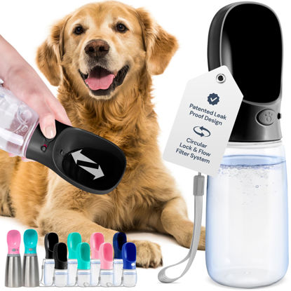 Picture of MalsiPree Dog Water Bottle Portable - Leak Proof and Lightweight Water Bottle for Dogs - Dog Travel Water Bottle with Bowl - Dog Walking Accessories (19OZ, Black)