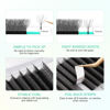 Picture of NAGARAKU W Shape Eyelash Extension 7D Cluster Premade Fans Eye Lashes Faux Mink Matte Black Easy Fanning False Eyelashes (0.07mm D curl 13mm)