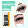 Picture of NAGARAKU W Shape Eyelash Extension 7D Cluster Premade Fans Eye Lashes Faux Mink Matte Black Easy Fanning False Eyelashes (0.07mm D curl 11mm)