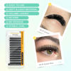 Picture of NAGARAKU W Shape Eyelash Extension 8D Volume Cluster Premade Fans Eye Lashes Faux Mink Matte Black Easy Fanning Pre Fanned False Eyelashes yy Lashes 0.07mm D (8-12mm) Mix