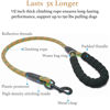 Picture of iYoShop Dual Dog Leash, Double Dog Leash, 360 Swivel No Tangle Walking Leash, Shock Absorbing Bungee for Two Dogs, Khaki, Large (25-150 lbs)