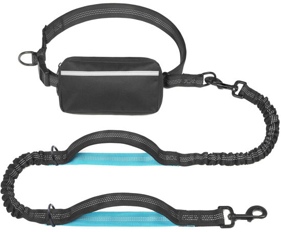 Picture of iYoShop Hands Free Dog Leash with Zipper Pouch, Dual Padded Handles and Durable Bungee for Walking, Jogging and Running Your Dog (Large, 25-120 lbs, Black)