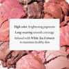 Picture of LAURA GELLER NEW YORK Baked Blush-n-Brighten Marbleized Blush - Summer Orchid - Natural Finish