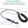 Picture of iYoShop Dual Dog Leash, Double Dog Leash, 360 Swivel No Tangle Walking Leash, Shock Absorbing Bungee for Two Dogs, Large (25-150 lbs), Lavender