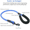 Picture of iYoShop Dual Dog Leash, Double Dog Leash, 360 Swivel No Tangle Walking Leash, Shock Absorbing Bungee for Two Dogs, Royal Blue, Large (25-150 lbs)