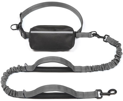 Picture of iYoShop Hands Free Dog Leash with Zipper Pouch, Dual Padded Handles and Durable Bungee for Walking, Jogging and Running Your Dog (Large, 25-120 lbs, Grey)