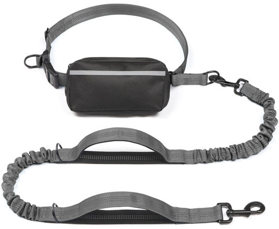 Picture of iYoShop Hands Free Dog Leash with Zipper Pouch, Dual Padded Handles and Durable Bungee for Walking, Jogging and Running Your Dog (Large, 25-120 lbs, Grey)