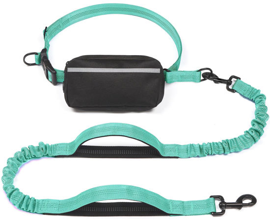 Picture of iYoShop Hands Free Dog Leash with Zipper Pouch, Dual Padded Handles and Durable Bungee for Walking, Jogging and Running Your Dog (Large, 25-120 lbs, Teal)
