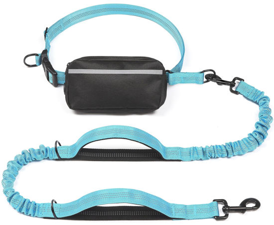 Picture of iYoShop Hands Free Dog Leash with Zipper Pouch, Dual Padded Handles and Durable Bungee for Walking, Jogging and Running Your Dog (Large, 25-120 lbs, Blue)
