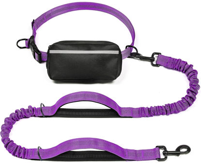 Picture of iYoShop Hands Free Dog Leash with Zipper Pouch, Dual Padded Handles and Durable Bungee for Walking, Jogging and Running Your Dog (Large, 25-120 lbs, Purple)