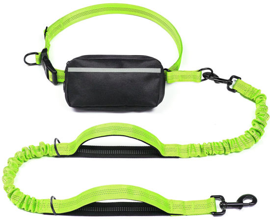 Picture of iYoShop Hands Free Dog Leash with Zipper Pouch, Dual Padded Handles and Durable Bungee for Walking, Jogging and Running Your Dog (Large, 25-120 lbs, Green)
