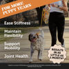 Picture of Pet Honesty Hip & Joint Health - Glucosamine for Dogs Soft Chews, Joint Supplement for Dogs with Glucosamine Chondroitin, Fish Oil, MSM, Turmeric, Advanced Pet Joint Support and Mobility (Bacon 90 Ct)