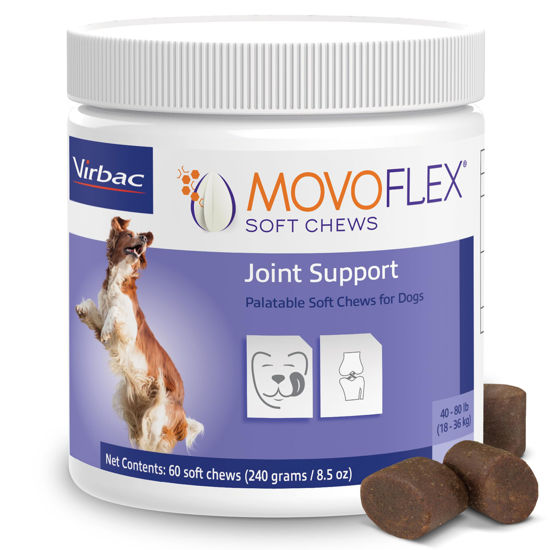 Picture of MOVOFLEX Joint Support Supplement for Dogs - Hip and Joint Support - Dog Joint Supplement - Hip and Joint Supplement Dogs - 60 Soft Chews for Medium Dogs (By Virbac)