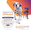 Picture of MOVOFLEX Joint Support Supplement for Dogs - Hip and Joint Support - Dog Joint Supplement - Hip and Joint Supplement Dogs - 60 Soft Chews for Medium Dogs (By Virbac)