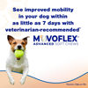 Picture of MOVOFLEX Advanced Joint Support Supplement for Dogs - Hip and Joint Support - Dog Joint Supplement - Hip and Joint Supplement Dogs - 60 Soft Chews for Medium Dogs (by Virbac)