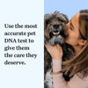 Picture of Wisdom Panel Essential Dog DNA Kit: Most Accurate Test for 365+ Breeds, 30 Genetic Health Conditions, 50+ Traits, Relatives, Ancestry - 2 Pack