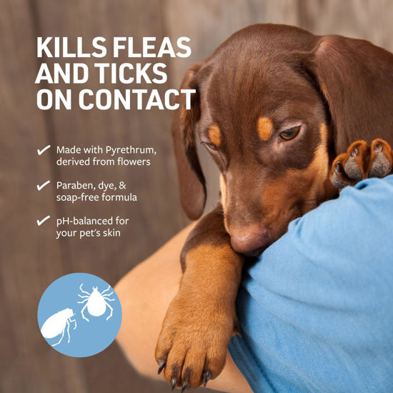 GetUSCart Veterinary Formula Flea and Tick Shampoo for Dogs and Cats