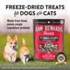 Picture of Northwest Naturals Raw Rewards Freeze-Dried Beef Liver Treats for Dogs and Cats - Bite-Sized Pieces - Healthy, 1 Ingredient, Human Grade Pet Food, All Natural - 3 Oz