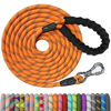 Picture of NTR Heavy Duty Large Dog Leash, 30FT Reflective Dog Leash with Swivel Lockable Hook and Comfortable Padded Handle, Puppy Leash for Walking, Hunting, Camping, Backyard for Small Medium and Large Dogs