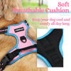 Picture of rabbitgoo Dog Harness, No-Pull Pet Harness with 2 Leash Clips, Adjustable Soft Padded Dog Vest, Reflective No-Choke Pet Oxford Vest with Easy Control Handle for Large Dogs, Pink & Blue, M