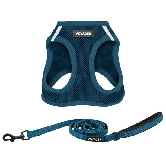 Picture of Voyager Step-in Air All Weather Mesh Harness and Reflective Dog 5 ft Leash Combo with Neoprene Handle, for Small, Medium and Large Breed Puppies by Best Pet Supplies - Harness Leash Set (Blue), L