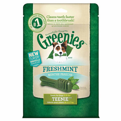 Picture of Greenies Fresh Dental Treats for Dogs Teenies - 43 Pack - (Dogs 5-15 lbs) - Pack of 2