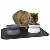 Picture of Kitty City Raised Cat Food Bowl Collection/Stress Free Pet Feeder and Waterer and Slow Feed Bowls