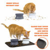 Picture of Kitty City Raised Cat Food Bowl Collection/Stress Free Pet Feeder and Waterer and Slow Feed Bowls