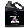 Picture of Naturevibe Botanicals Grapeseed Oil 32 Ounces | 100% Pure and Natural | Great for Skin Care and Hair Care