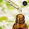 Picture of Naturevibe Botanicals Karanja Oil 32 Ounces | 100% Pure and Natural | Great for Skin Care and Hair Care