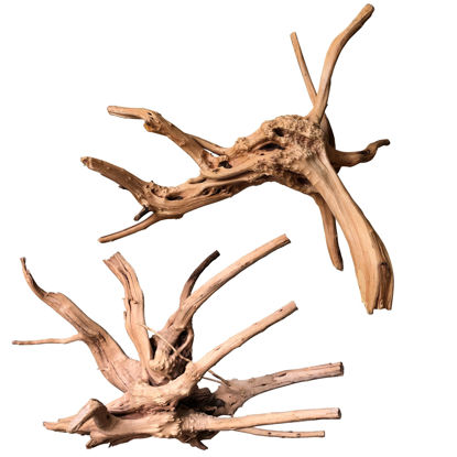 Picture of majoywoo Natural Large Driftwood for Aquarium Decor Reptile Decor, Assorted Spider Wood Branch 11-14" 2 Pcs, Fish Tank Decoration