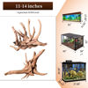 Picture of majoywoo Natural Large Driftwood for Aquarium Decor Reptile Decor, Assorted Spider Wood Branch 11-14" 2 Pcs, Fish Tank Decoration
