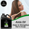 Picture of Naturevibe Botanicals Amla Oil 32 Ounces | 100% Pure and Natural | Great for Skin Care and Hair Care
